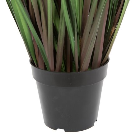 60" Eucalyptus Grass Potted