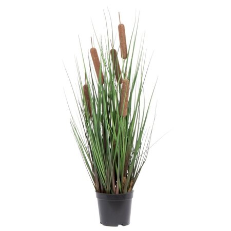 24" Grass with 5 Cattails Potted