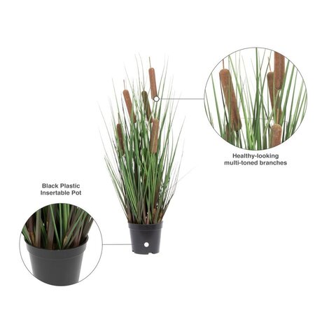 24" Grass with 5 Cattails Potted
