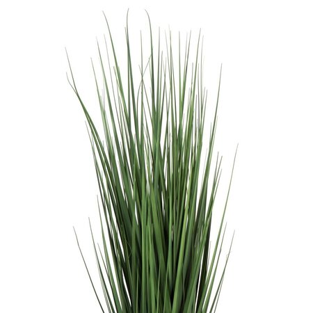 48" Extra Full Grass Potted