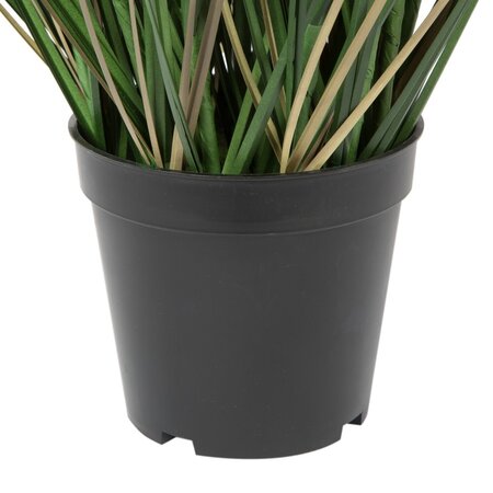 36" Green Curled Grass in Pot