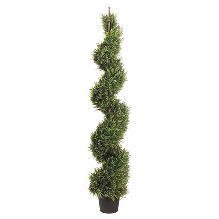 5 feet Outdoor Rosemary Spiral Topiary in Pot Green