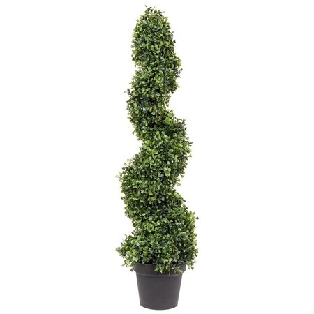3' Boxwood Spiral In Pot UV