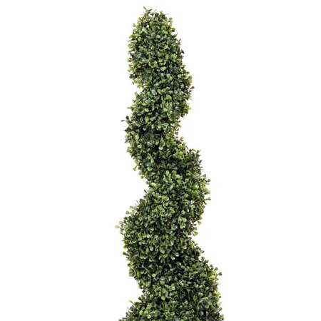 3' Boxwood Spiral In Pot UV