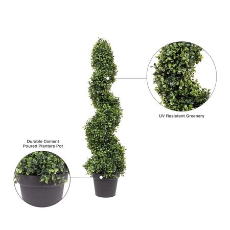 3' Boxwood Spiral In Pot UV
