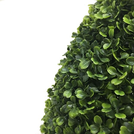 24" Boxwood Teardrop Shaped In Pot UV