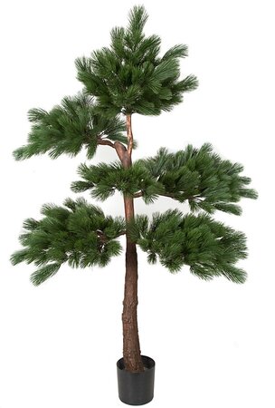 7 FOOT NATURAL-LOOKING WOOD PINE TREE WITH SYNTHETIC TRUNK.