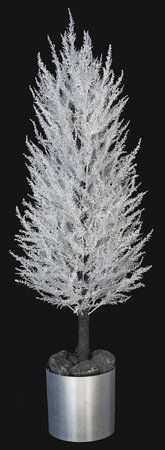 Alpine Ice Tree