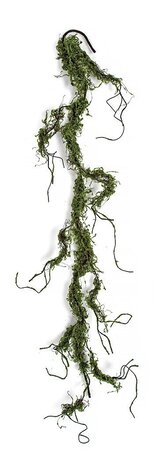 5' MOSS TWIG GARLAND