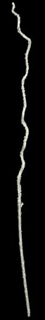 45 inches Plastic Glittered Willow Stick - Silver