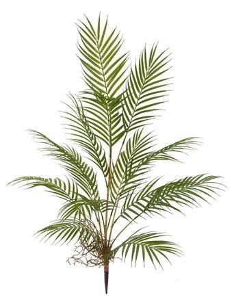 3' Natural Touch Areca Palm Bush with Twig