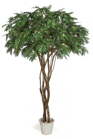 7 Foot FireSafe Acacia Tree on Natural Wood Trunk