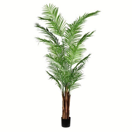 8 feet Potted Areca Palm 837 Leaves