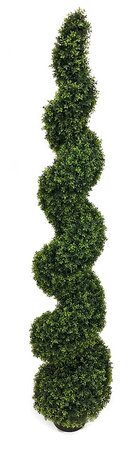 Outdoor Uv Dwarf Boxwood Spiral Topiary - 4 Foot, 6 Foot, 8 Foot And 10 Foot