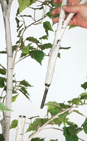 9 feet Birch Tree - Synthetic Trunks - 2,442 Green Leaves