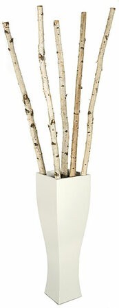 Custom Made Decor Silver Birch Tree  Many sizes available!