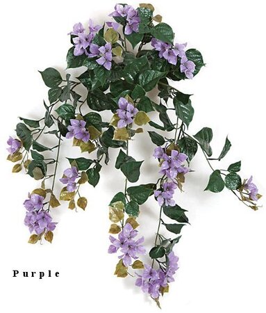Purple Azalea 