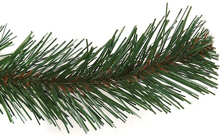 10 feet Virginia Pine Christmas Tree - Slim Size - 1,050 Clear Lights