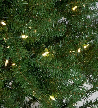 Canadian Fir Christmas Tree - Full Size - 8,510 Tips - 2,750 White LED Lights