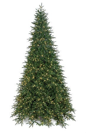 12 Foot FLUFF-FREE CORDOVA FIR Christmas TREE 7094 Tips 2150 LED Lights 90" Wide