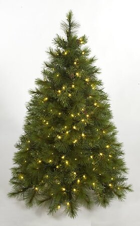 4.5 feet Arolla Pine Christmas Tree - Pine Cones - 250 Warm White LED Lights