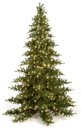 6 feet Nikko Fir Christmas Tree - Full Size - 500 Warm White 5.5mm LED Lights