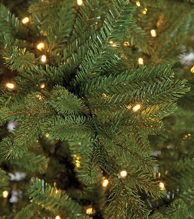 C-120974 9 feet Caroline Spruce Christmas Tree - Medium Size - 1,050 Warm White LED Lights