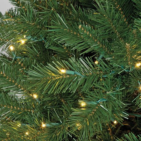 7.5 feet Westford Pine - Medium Size - 1,310 Green Tips - Wire Stand-NO LIGHTS