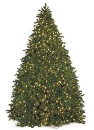 Commercial Pine Christmas Tree - 6,018 Tips - 2,300 Warm White 5mm LED Lights