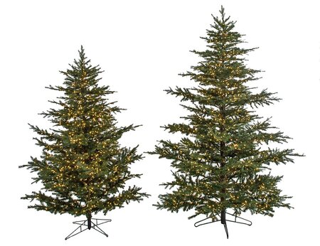 7 Ft. , 9 Ft. Or 12 Ft. Full Size Arkansas Spruce Trees