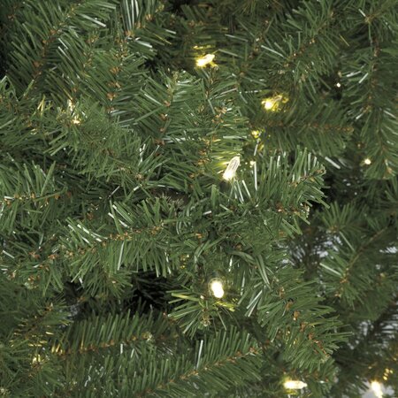 12 feet Nikko Fir Christmas Tree - Full Size - 1,800 Warm White 5.5mm LED Lights