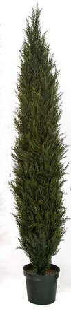 6 Foot Outdoor UV Rated Cypress Tree