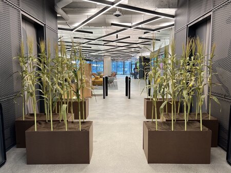 5 Foot ARTIFICIAL CORN STALK WITH LEAVES