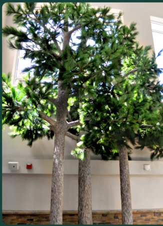 Giant Custom Artificial  Trees — breathtaking replicas of nature’s most iconic giants