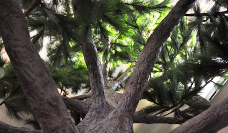 Giant Custom Artificial  Trees — breathtaking replicas of nature’s most iconic giants