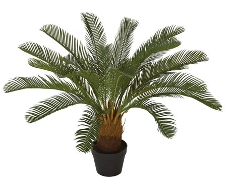 31" Cycas Palm  24 UV Outdoor Fronds Indoor/Outdoor