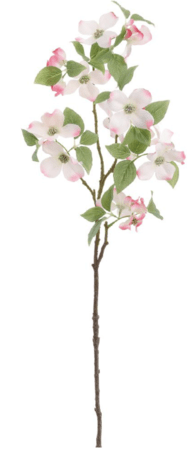 White/PINK