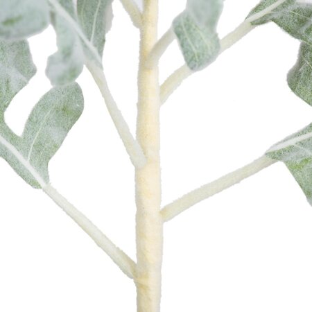 17" Green Dusty Miller Spray 3/Pk