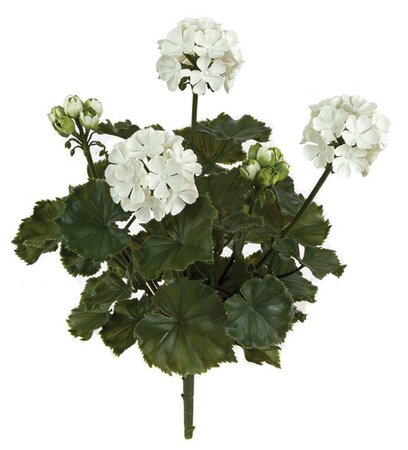 17 inches Outdoor Geranium Bush - 3 Flowers - 2 Buds - 12 inches Width