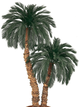 A-401 Custom Made Deluxe Double Polyblend Aloe Trunk Cycas Palm Tree