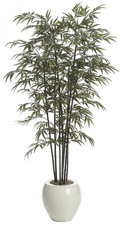 6 feet Bamboo Palm - Natural Black Canes - 1,680 Leaves - Green - Weighted Base