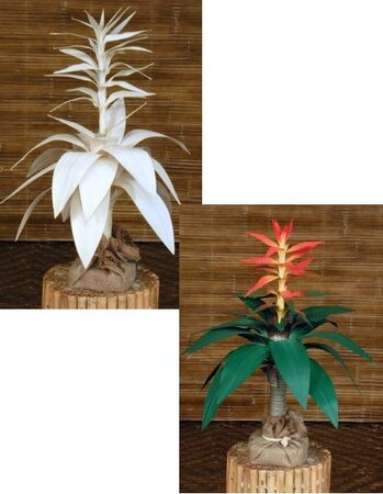 2 feet Canvas Flame Bromeliad Plant in Painted or Natural Colors