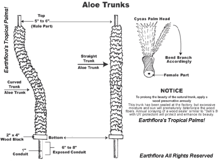 A-400 Outdoor Custom Made Cycas made on rubberized polyblend aloe rings  trunk  in many heights See Details.