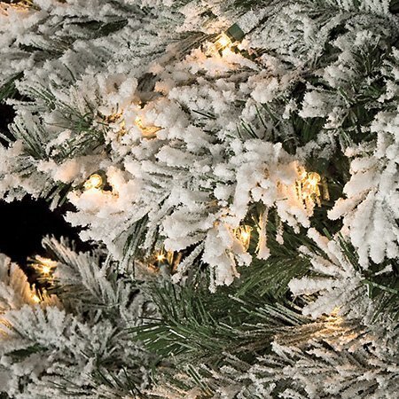 C-90131 9 feet Flocked Mountain Pine Tree - Full - 1,882 Tips - 800 Clear Mini Lights - 63 inches Width - Wire Stand