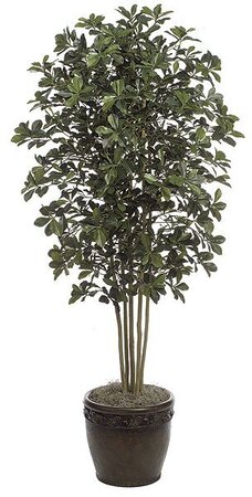 7 feet Black Olive Tree - Natural Trunks - 3,770 Leaves - Green - Weighted Base