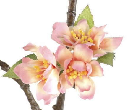 EF-186 16-1 inches to 2 inches Blooms, 9-1 inches Buds, 32-2 inches Leaves. Color: Light Peach (Sold In A 8pc set)