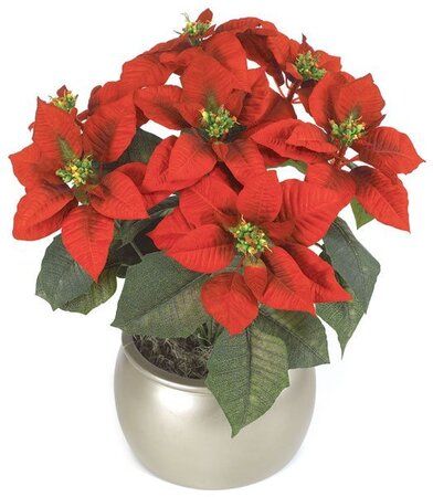 23 inches Poinsettia Bush - 24 Leaves - 7 Flowers - Red - Bare Stem