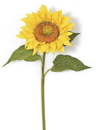 37 inches Giant Sunflower Stem - Gold/Yellow Flower - 10 inches Width