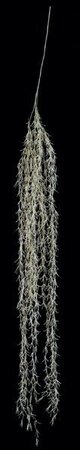 62 inches Plastic Spanish Moss - Grey/Green/Brown