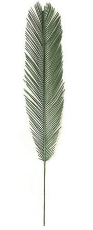 44 inches Cycas Palm Branch - 9 inches Width - Light GreenPolyblend (Plastic) UV Rated Outdoor Fo...